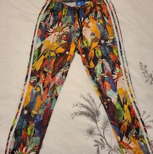 Womens Adidas Birds of Paradise Track Pants